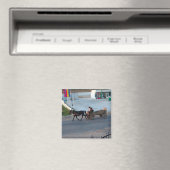 Roemenië, Geen behoefte aan benzine Magneet (Insitu (Vaatwasser))