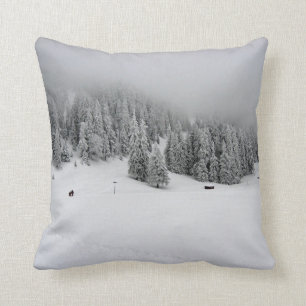 Roemenië, Wintersport in Piana Brasov, sneeuw Kussen