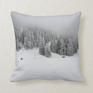 Roemenië, Wintersport in Piana Brasov, sneeuw Kussen