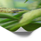 Roep Bijbelverse Inspirerend vlinderposter Poster (Hoek)