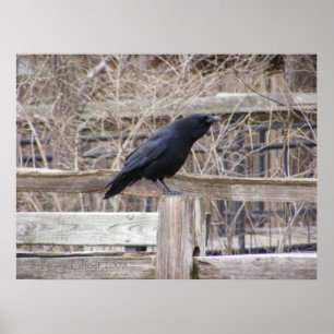 Roepende VRAAG 1 Poster