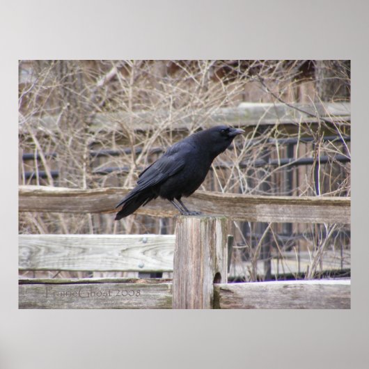 Roepende VRAAG 1 Poster (Voorkant)