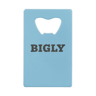 ROESTVRIJ STAAL BIGLY DESIGN FLESOPENER KREDIETKAART FLESSENOPENER