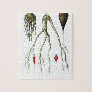 roetgroenten botanische afdrukken legpuzzel