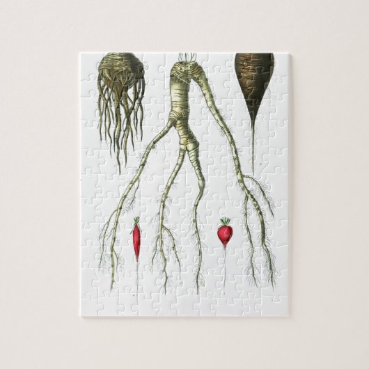  roetgroenten botanische afdrukken legpuzzel (Verticaal)