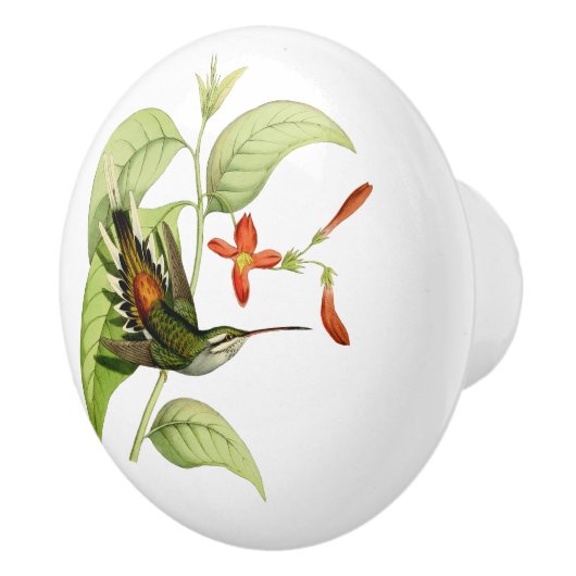 roetkopheremietkolibrie keramische knop (Rechts)