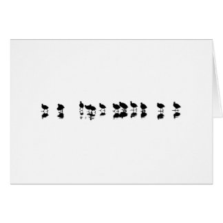 Roetontwerp - zwart op wit