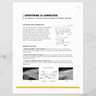 ROF-blad (hond + paard) Flyer