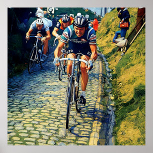 Roger de Vlaeminck Ronde van Vlaanderen 1978 Poster