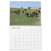 Roger & Elaine's Pinzgauer Calendar 2013 Kalender (Jan 2026)