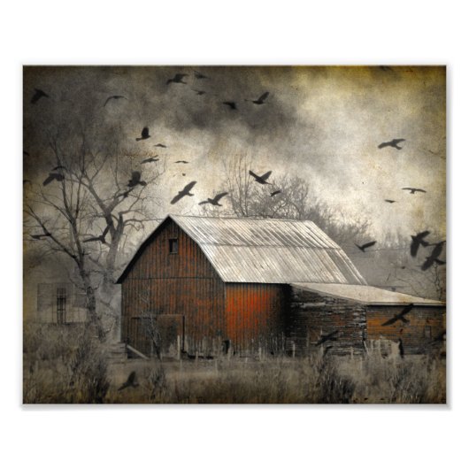 Roguish Ravens Creëer een kroonado Foto Afdruk (Voorkant)