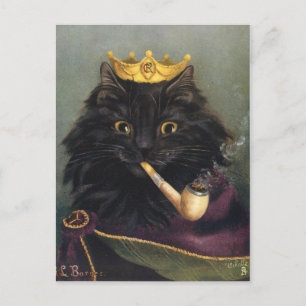 Roi chat briefkaart