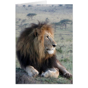 Roi de lion (de clubs de lions) (Olare Motorogi,