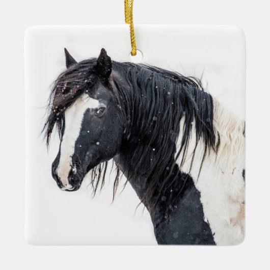 "Roi d'hiver" Ornement de Washakie (Devant)