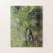 Roi du marais - Alligator Jigsaw Puzzle (Vertical)