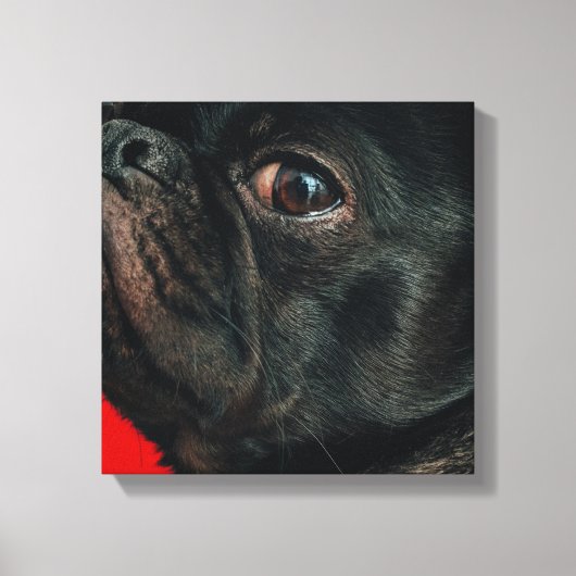 rojo-hond canvas afdruk (Voorkant)