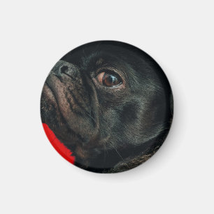 rojo-hond magneet