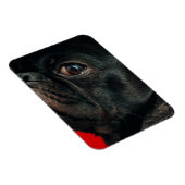 rojo-hond magneet (Rechterzijde)