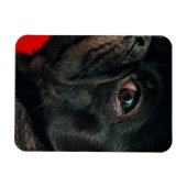 rojo-hond magneet (Horizontaal)