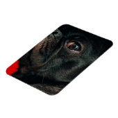 rojo-hond magneet (Linkerzijde)