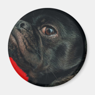 rojo-hond magneet