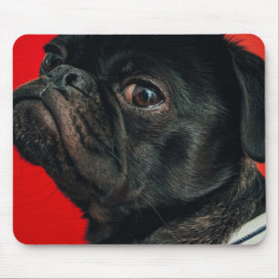 rojo-hond muismat