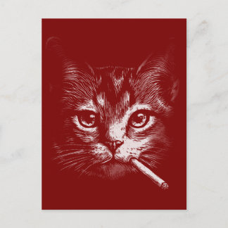 Rokende Kat Grappig Briefkaart
