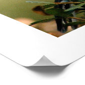 rokervogel poster (Hoek)