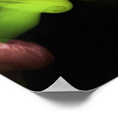 Rokin' Poster (Hoek)