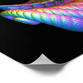 Rol Rainbow Cornucopia Poster (Hoek)