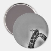 Rolachtbaan Magneet (Voorkant / Achterkant)