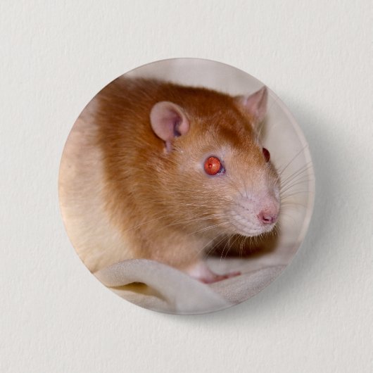 Rolando Badge Ronde Button 5,7 Cm (Voorkant)