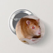 Rolando Badge Ronde Button 5,7 Cm (Voorkant /achterkant)