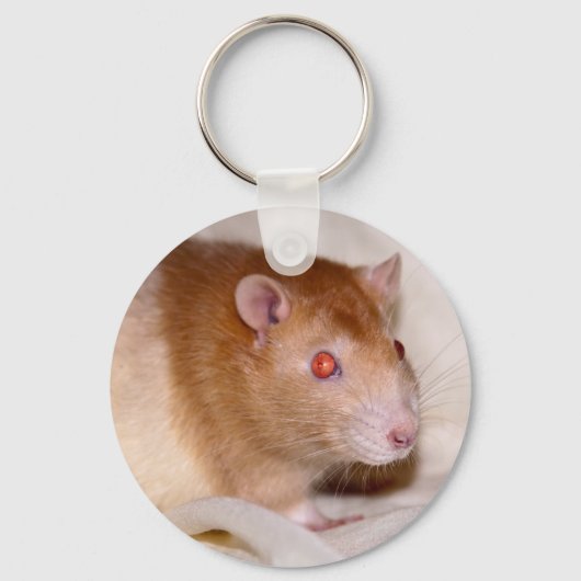 Rolando Keyring Sleutelhanger (Voorkant)