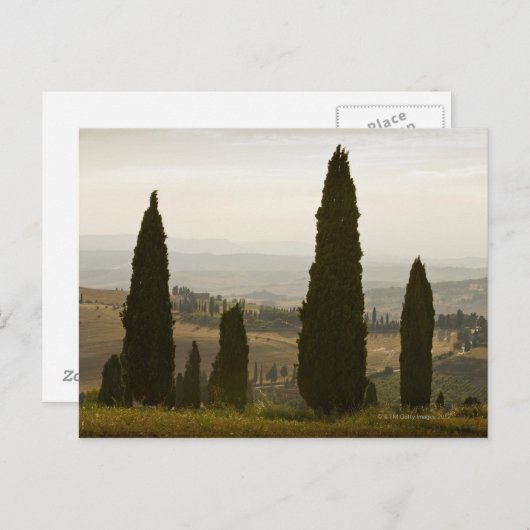 Rollandschap, Toscane, Italië 2 Briefkaart (Voorkant / Achterkant)