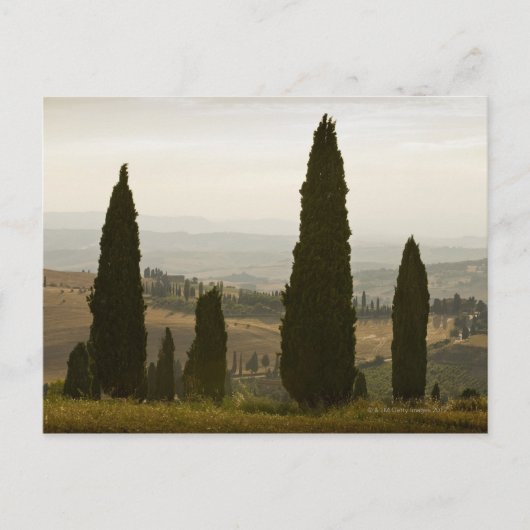 Rollandschap, Toscane, Italië 2 Briefkaart (Voorkant)