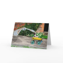 Roller Schaats Mayhem