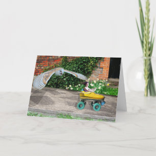 Roller Schaats Mayhem Kaart