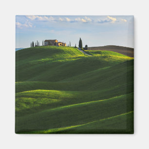 Rolling Hill Near Asciano, Toscane Magneet