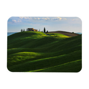 Rolling Hill Near Asciano, Toscane Magneet