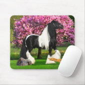 "Rollo & Cat" Mousepad Muismat (Met muis)