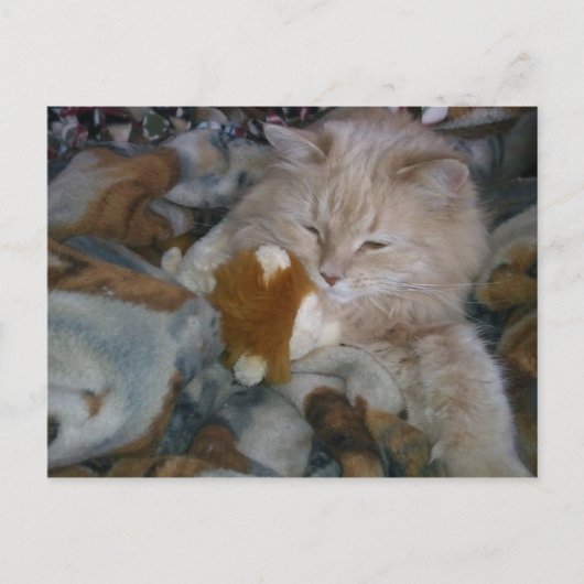 Rolmodel Cat Briefkaart (Voorkant)