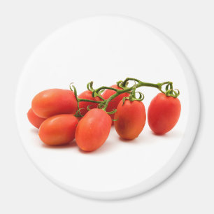 Roma Tomato Magneet
