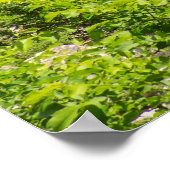 Roman Aquaduct Over River, Frankrijk Poster (Hoek)