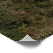 Roman Aquaduct Poster (Hoek)