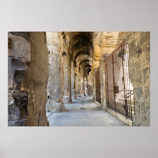 Roman Arena Hallway, Frankrijk Poster (Voorkant)