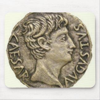 Roman Denarius Coin Muismat