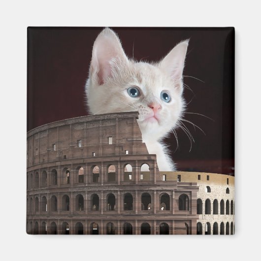 Roman felines magneet (Voorkant)