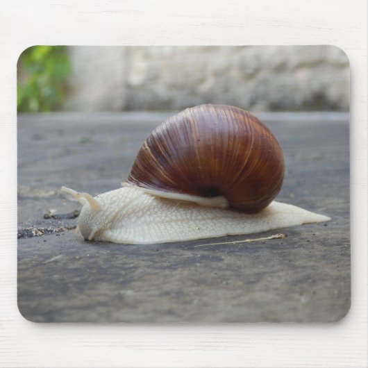 Roman Snail Mouse Mat Muismat (Voorkant)