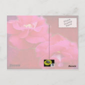 Romance en Rode Rozen - Verjaardag Kaart (Achterkant)